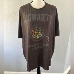 Hogwarts Crest School of Witchcraft & Wizardry Spell Out T-Shirt Brown 2XL